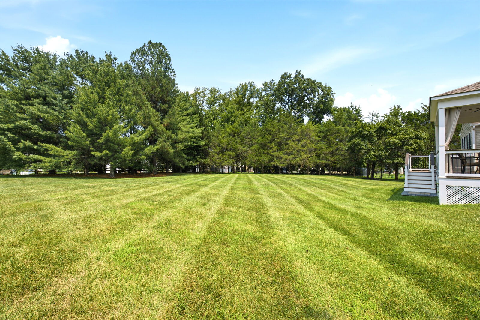 Level rear lawn backing to a mature tree line